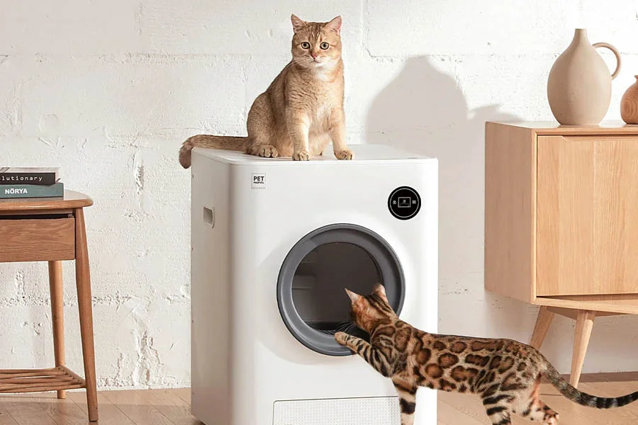 litter box for two cats
